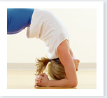 chiropractic, chiropractor, pinellas park fl, clearwater fl