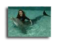 chiropractor clearwater, chiropractic pienllas park, florida