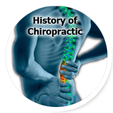chiropractic, chiropractor, florida, clearwater, florida
